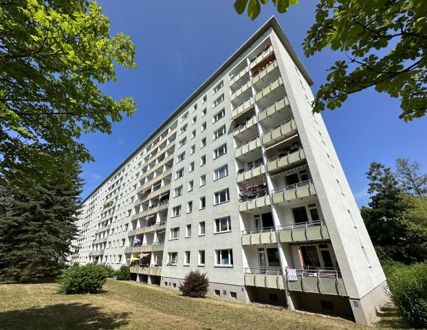 Neu sanierte Balkonwohnung mit Blick ins Grüne - Foto 1