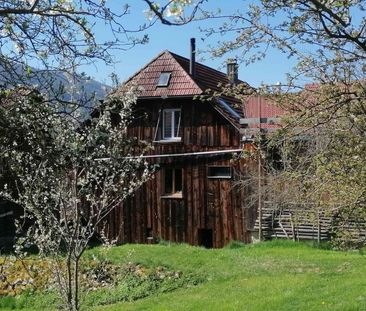 2.5 Zimmer, 47 m², 1. Stock - Photo 2