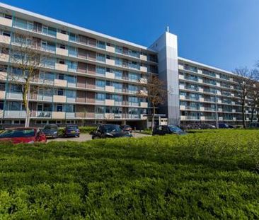 Professor Cobbenhagenlaan 5037 Tilburg - Photo 2