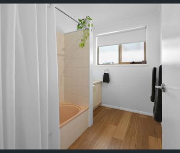 UPDATED HOME WITH SHEDDING - Photo 6