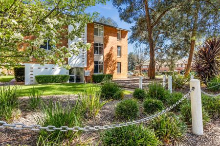 One bedroom plus study close to City! - Photo 4