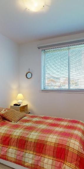 4 ET DEMI LIBRE À PARTIR DU 1ER AVRIL 2026 - Photo 1