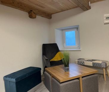 Très agréable duplex rénové situé entre le château et le jardin bot... - Foto 3