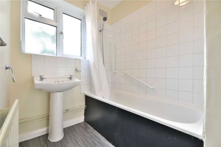 Vines Avenue - Photo 5