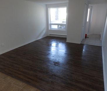 Logement 4 1/2 Demi Sous Sol Triplex - Photo 1