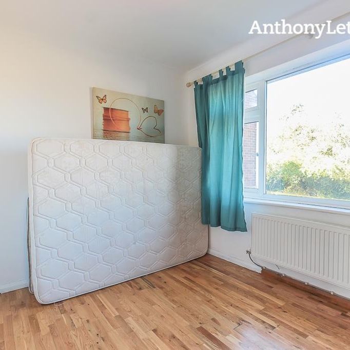Warren Terrace, Bengeo, Hertford - Photo 1