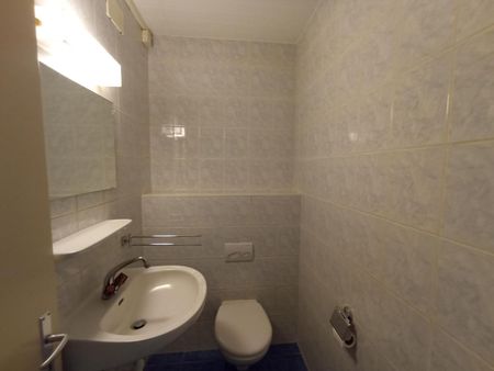 Joli 4.5 pièces rénové récemment au rez-de-chaussée - Foto 3