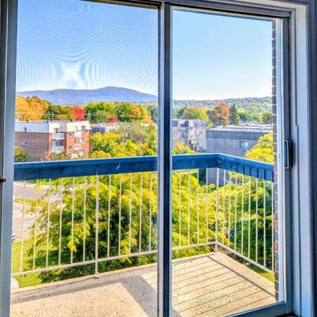 4-1/2 clientèle 50 et plus tranquille belle vue, fraichement peinturer - Photo 3