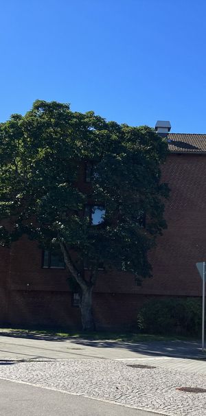 Industrigatan, Helsingborg - Photo 1