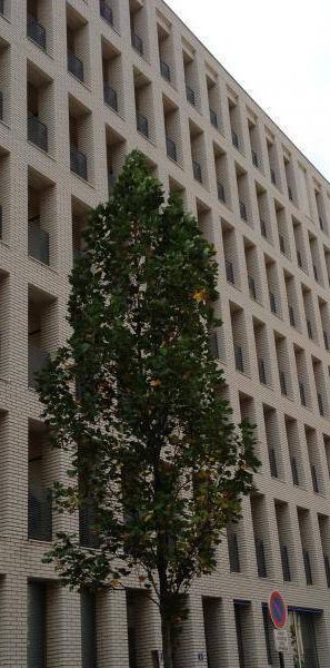 Location appartement t1 37 m² à Nantes (44000) Centre ville-Centre Ville - Photo 1