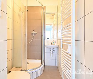 Pronájem bytu 1+kk 22 m² - Фото 5
