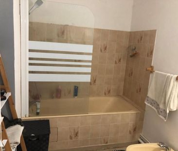 APPARTEMENT LUMINEUX VUE SUR LA MAYENNE - Photo 4