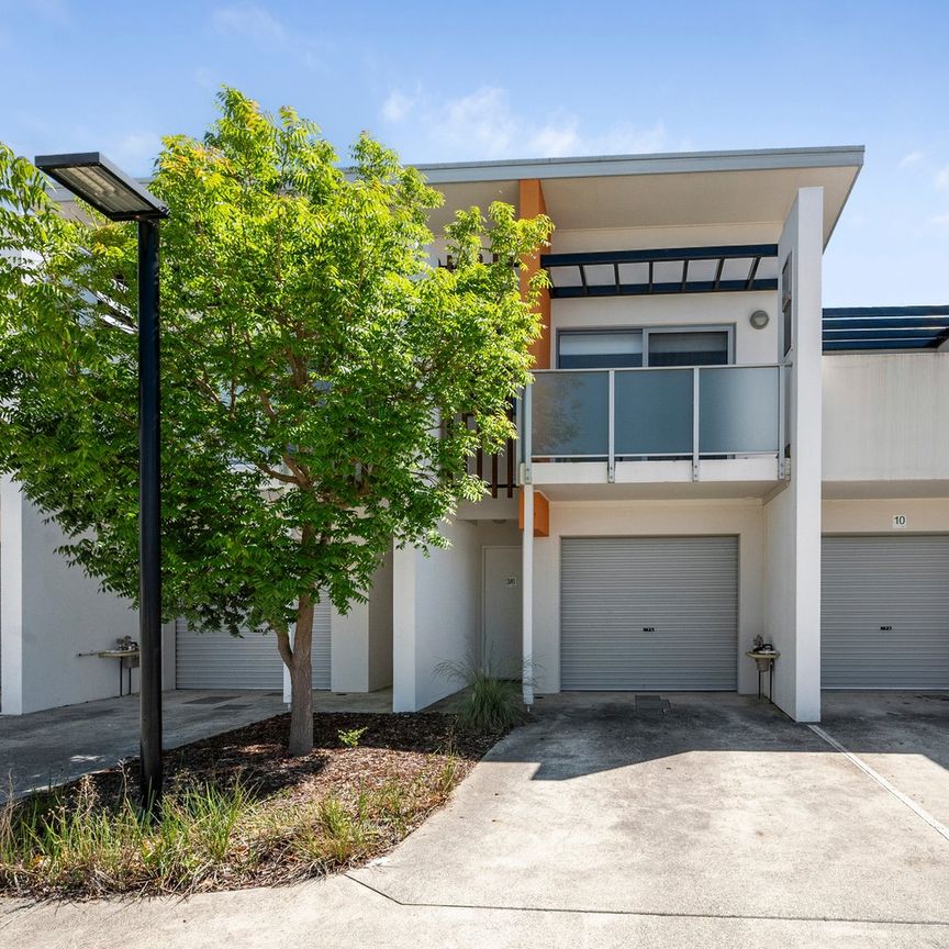 3/6 Sapling Street, Harrison ACT 2914 - Townhouse For Rent | Domain - Photo 1