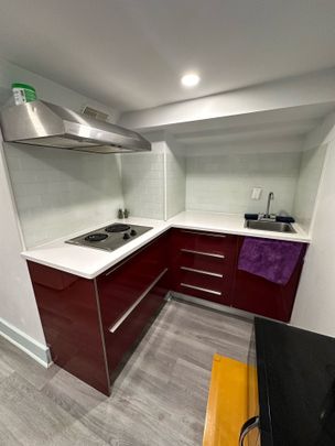 For Lease - 48 Euclid Avenue Unit# Lower, Toronto, Ontario - Photo 1