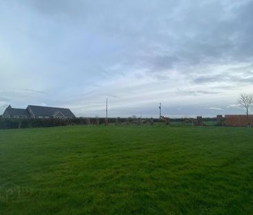25 Derryclone Road, Aghalee, BT67 0BN - Photo 4