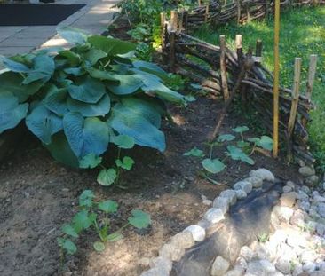 5 1/2 foyer tout inclus (wifi et hydro) terrain bordé d'un étang - Photo 2