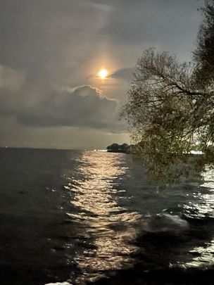 For Lease - 2680 Lake Shore Boulevard, Toronto, Ontario - Photo 1