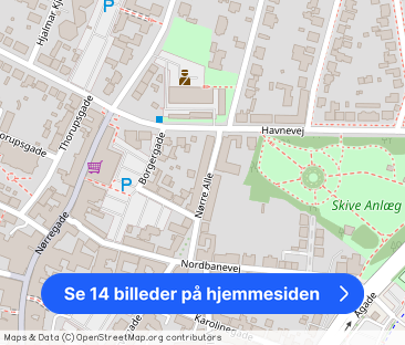 Nørre Alle 13 1. TH 7800 Skive - Foto 1