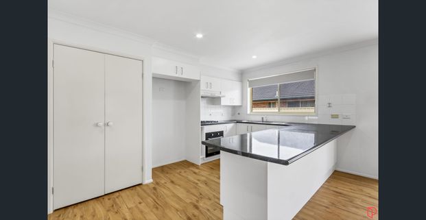 Large, modern 4-bedroom family home on corner block - Photo 1