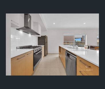 Spacious 4-Bedroom Family Home with Two Living Areas & Modern Comforts - Photo 5