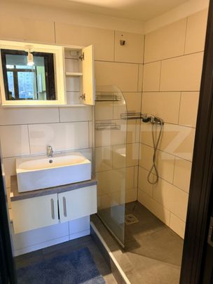 Apartament cu o camera, semidecomandat, pet friendly, loc de - Fotografie 1