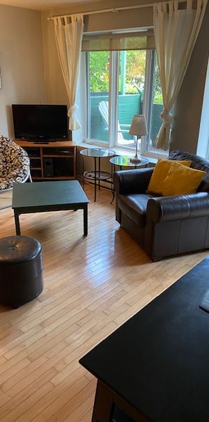 Plateau - Superbe Condo 3 1/2 Meublé - Photo 1