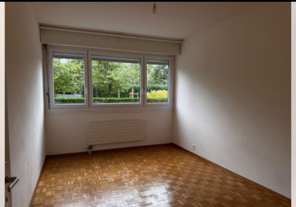 5 Zimmer, EG - Photo 1