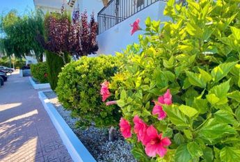 1 bedroom ground floor apartment for rent in Playa Flamenca - Orihuela Costa