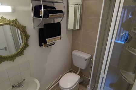 Studio Flat, Vandyke House, L8 - Photo 4