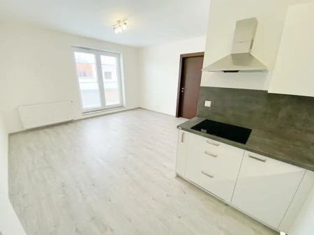 Pronájem jednotky 2+KK s terasou o celkové výměře 57 m - Fotografie 3