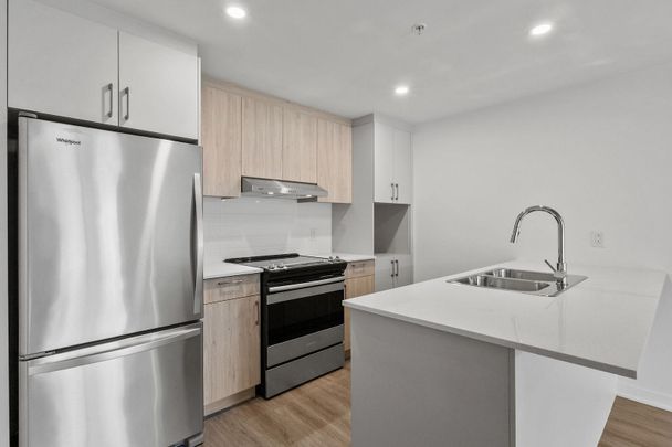2211 Rue Harry-Halton, Montréal, QC - Photo 1