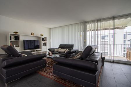 Vivre au centre & se détendre - appartement élégant avec soleil du soir - Foto 4