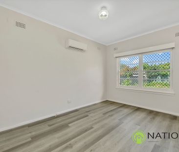 15 Hacking Crescent, Narrabundah ACT 2604 - House For Rent | Domain - Photo 3