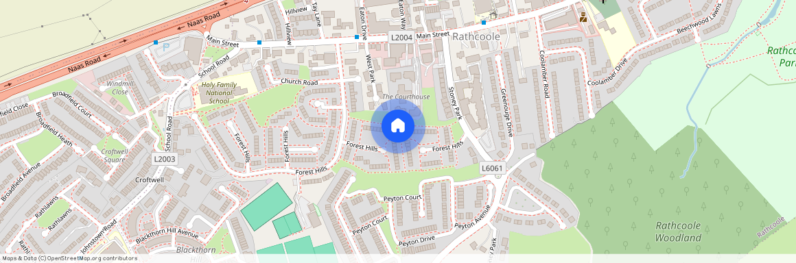 Elm Walk, Rathcoole, Co. Dublin, Dublin County