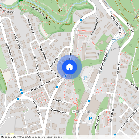 Lochstrasse 50a, 8200, Schaffhausen