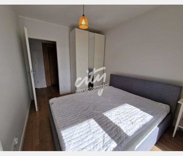 Szczecin - Zdjęcie 5