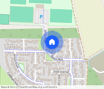 Bray Drive, NR18 0GQ - Photo 1