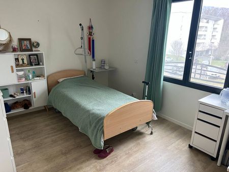 Location appartement 5 pièces 166.04 m² à Saint-Genis-Pouilly (01630) - Photo 3