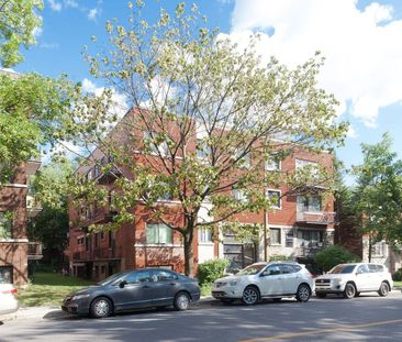 3250 Van Horne Street - Photo 6