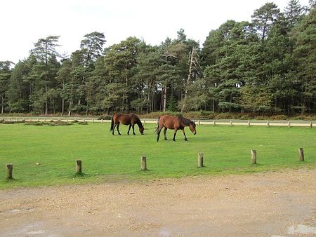 3 bedroom house to rent - Photo 5