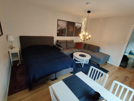Lilla Trädgårdsgatan, Nybro - Photo 2