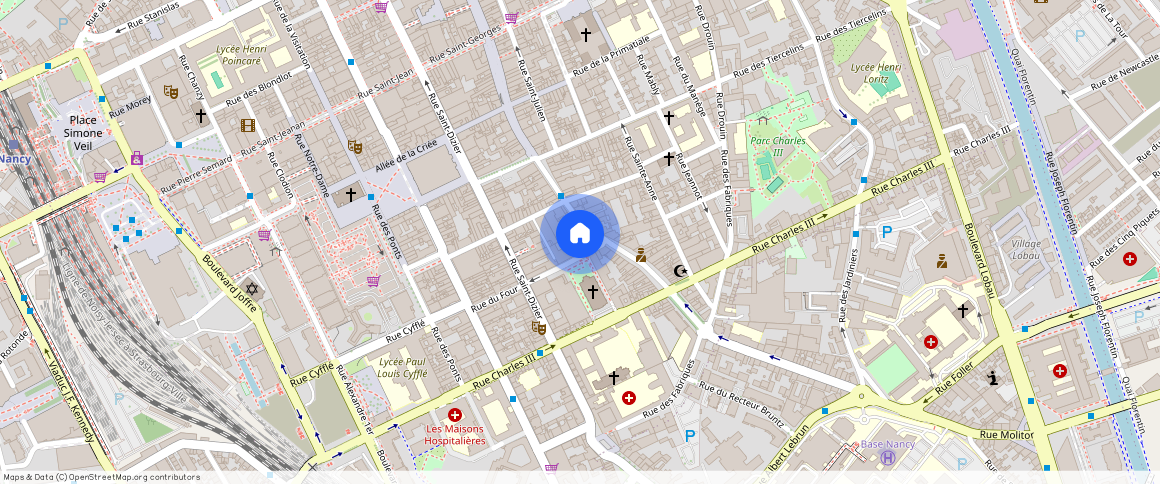 17 RUE DU GENERAL DROUOT, Gambetta Carmes Faiencerie, Nancy