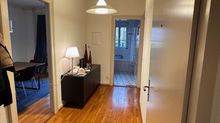 3-ROOM APARTMENT IN BASEL - BACHLETTEN/GOTTHELF, FURNISHED, TEMPORARY - Photo 3