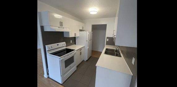 Blueridge Place - Photo 2