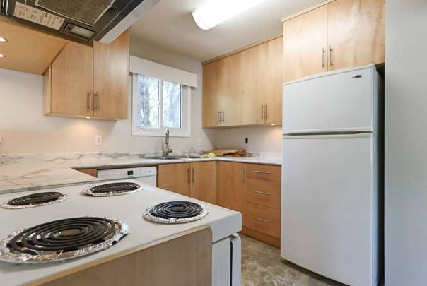 80 Avenue and 110 Street - Photo 1