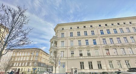 Idealne na salon, biuro lub gabinet lekarski! - Фото 5