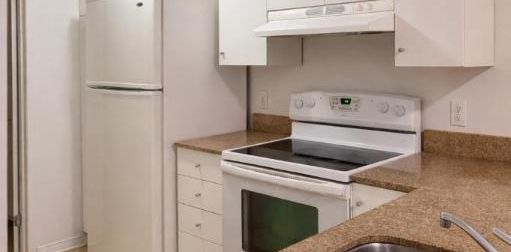 Studio - Montréal - $995 /mo - Photo 2