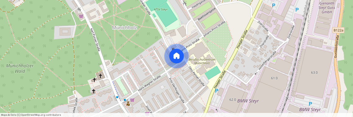 Franz-Schuhmeier-Straße, 4400 Steyr