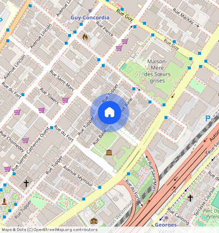 1225 Saint Marc Street, Ville-Marie, Ville-Marie, Ile de Montréal, H3H 2E7