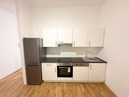 Generalsanierte Erstbezugswohnung beim Kaiser Josef Platz - Provisionsfrei! - Foto 1